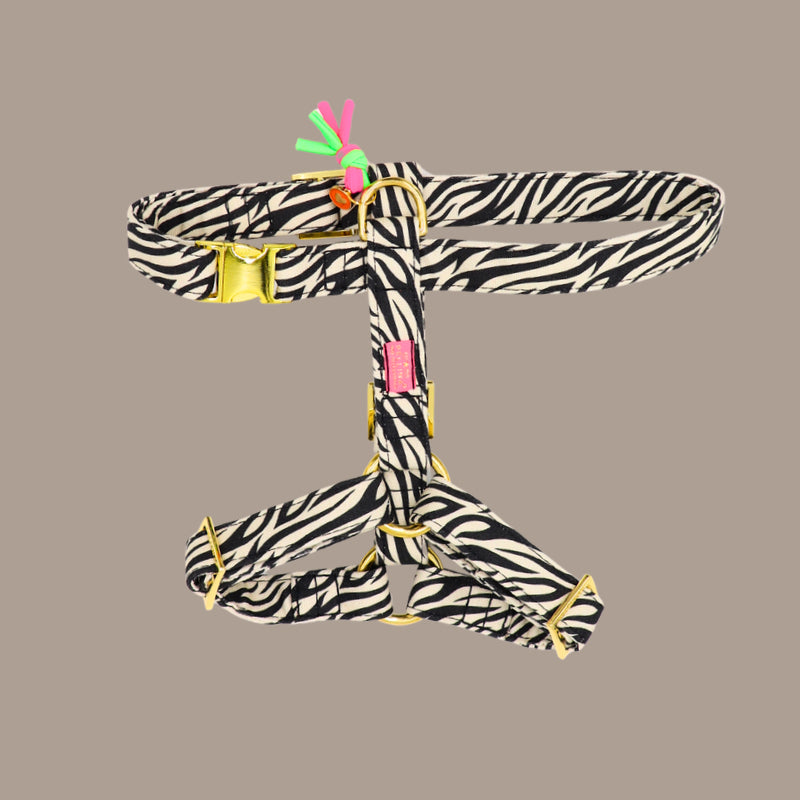 Hundegeschirr "Stripe Society"