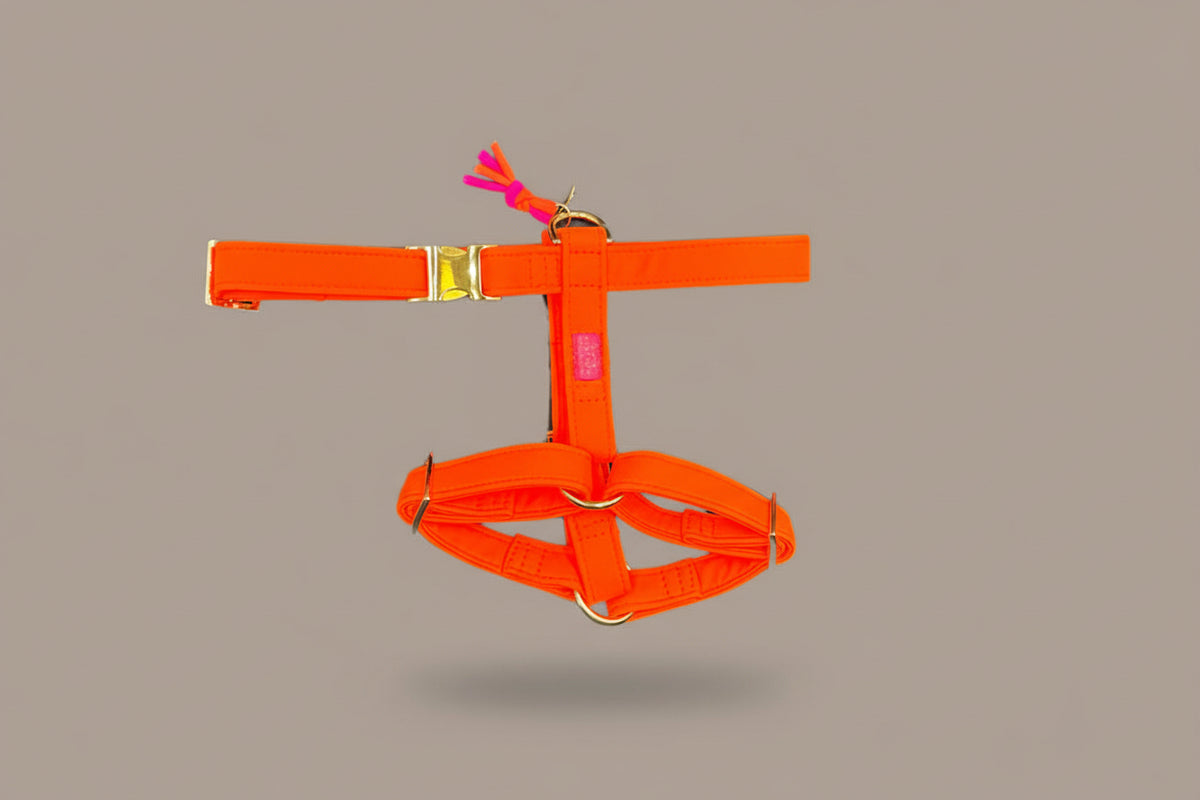 Hundegeschirr "Neonique" Orange