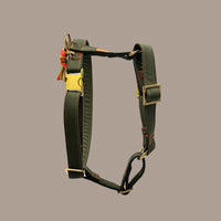Hundegeschirr "Neonique" Olive