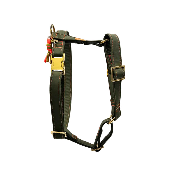 Hundegeschirr "Neonique" Olive