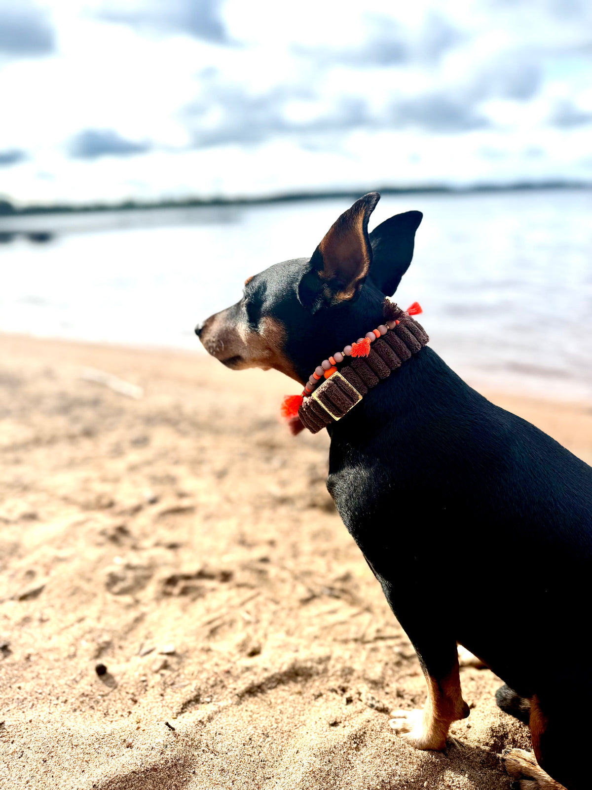 Hunde Schmuckkette „Couchy“ Brown