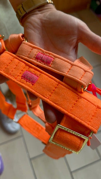 Sample Hundegeschirr "FeelGood" NeonOrange S, M