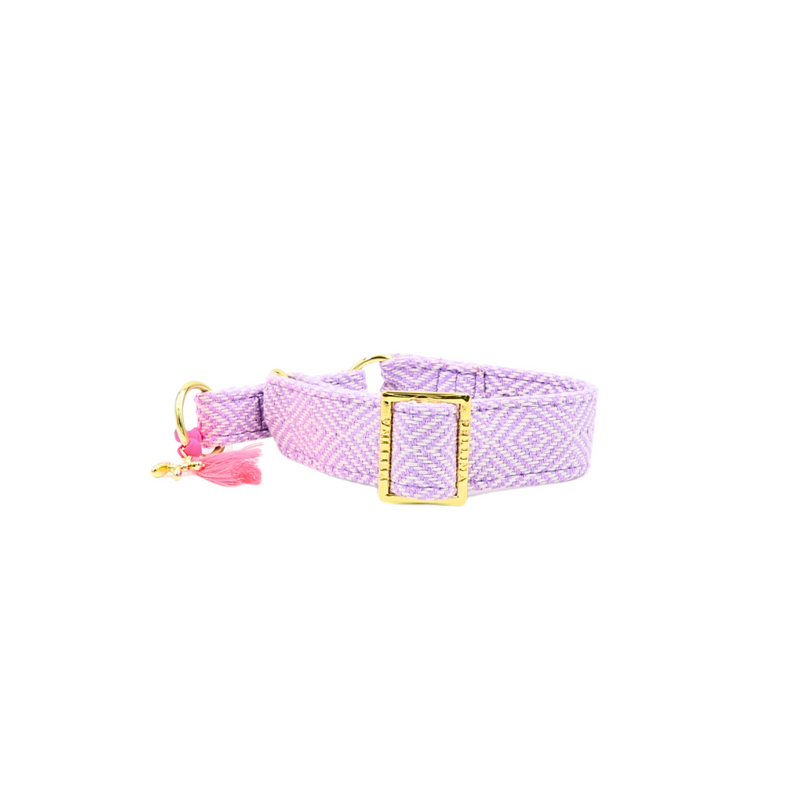 Zugstopp Halsband "Relax" Lavendel