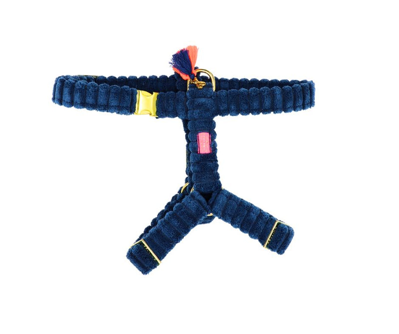 Hundegeschirr "Couchy" Blue