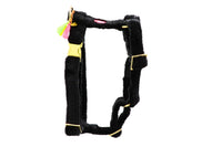 Hundegeschirr "Cashmere  Black"