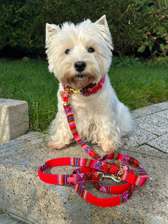 Leine "LaaBoheme" Red