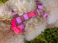 Harnais pour chien « Cachemire Noir »