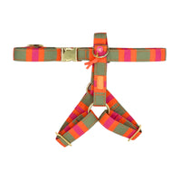 Hundegeschirr "SummerBreeze" Orange