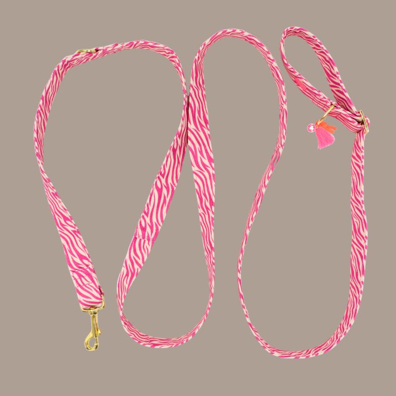 Leine „Stripe Society“ Pink