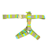 Hundegeschirr "SummerBreeze" Lime