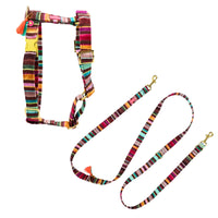 „Cupid’s Walk“ – Geschirr & Leine