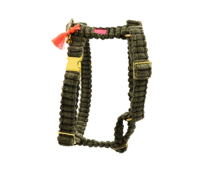 Hundegeschirr "Couchy" Khaki