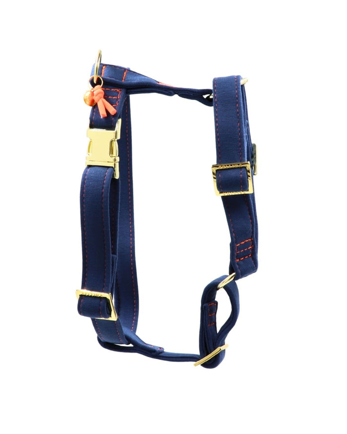 Hundegeschirr "Sweaty Indigo"