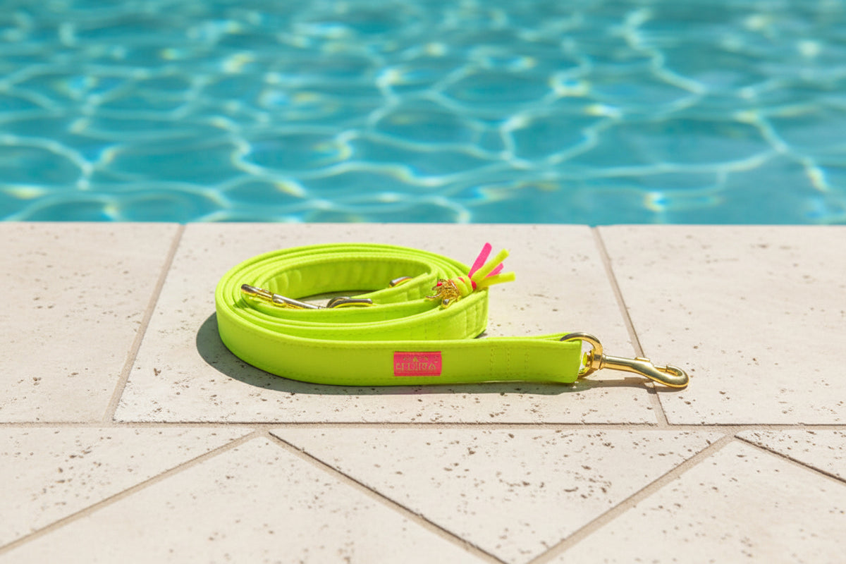 Leine "Neonique“ Yellow