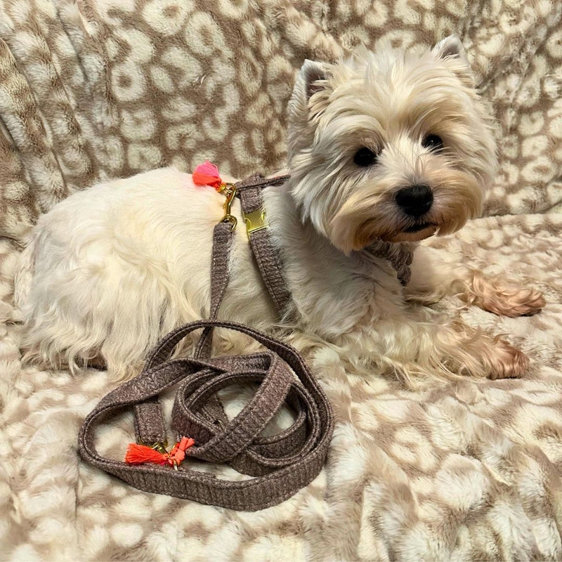 Leine "Flair“ Brown