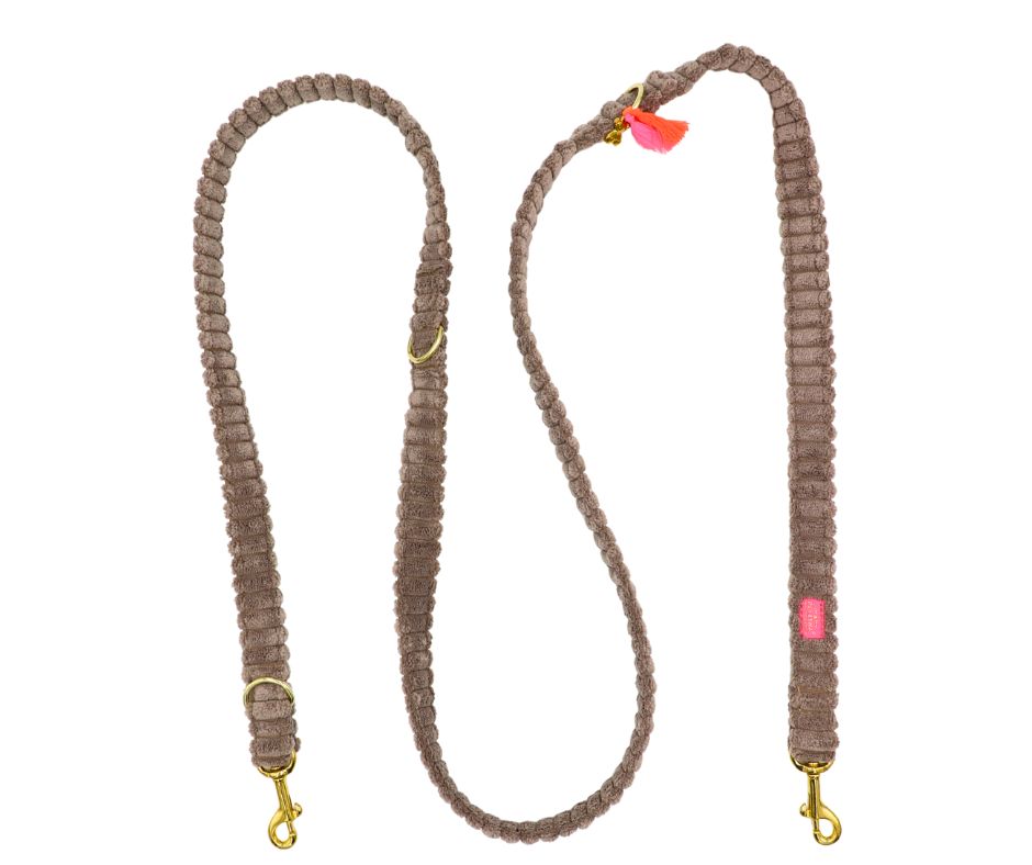 Leine "Couchy“ Taupe