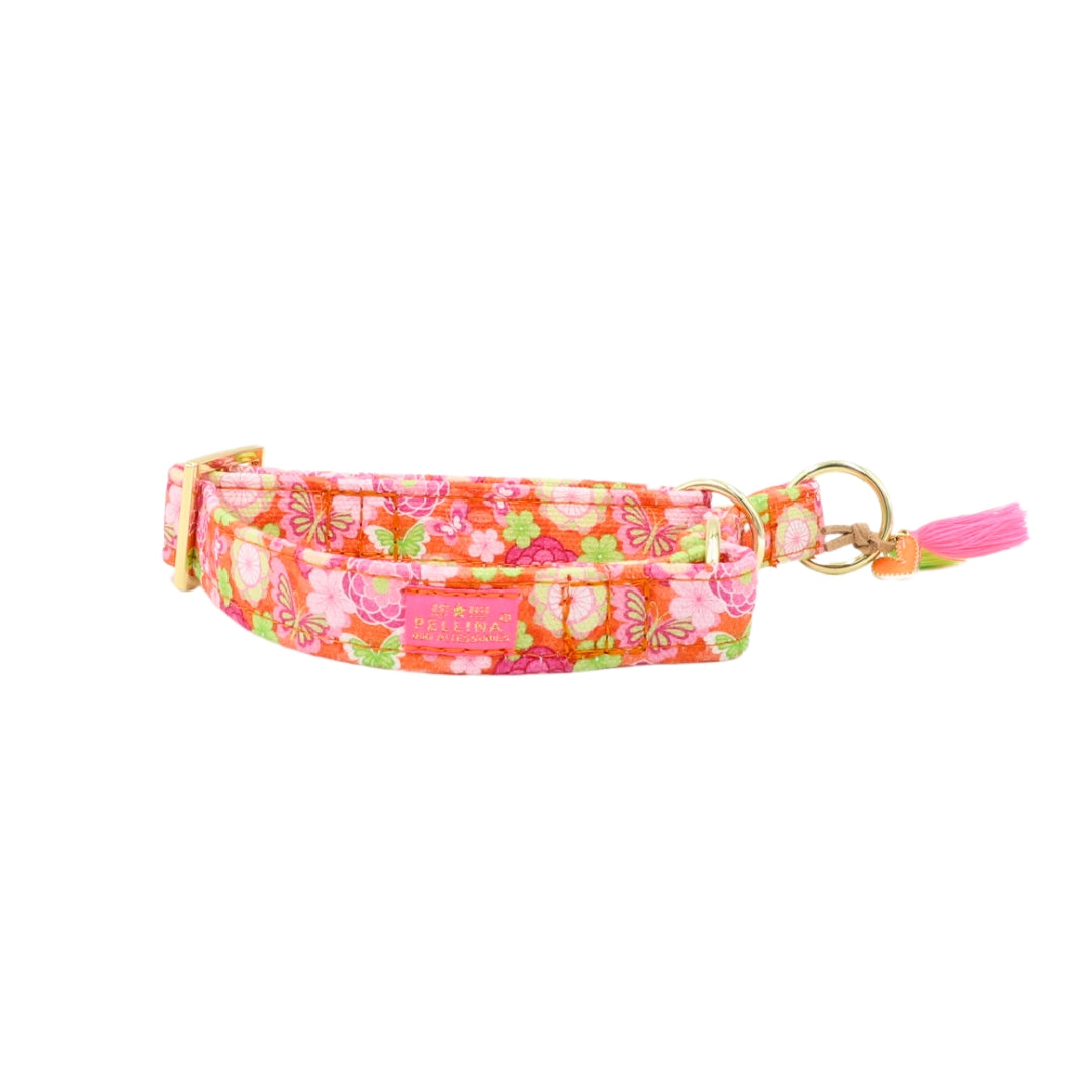 Zugstopp Halsband "Ibiza Spring"