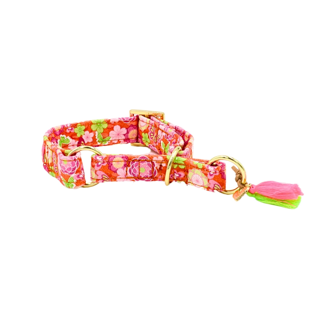 Zugstopp Halsband "Ibiza Spring"