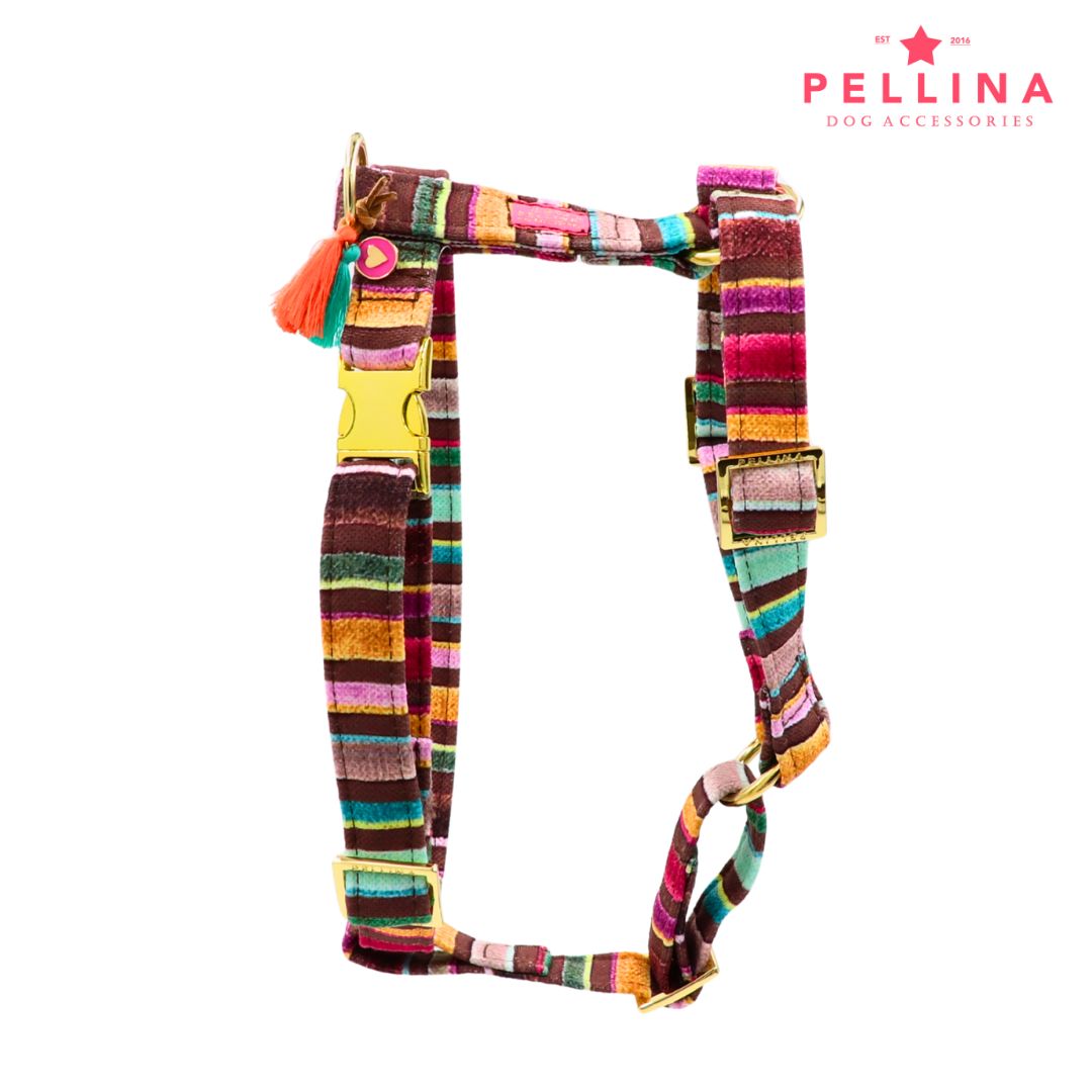 Hundegeschirr "Rainbow Cocoa"