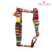 Hundegeschirr "Rainbow Cocoa"