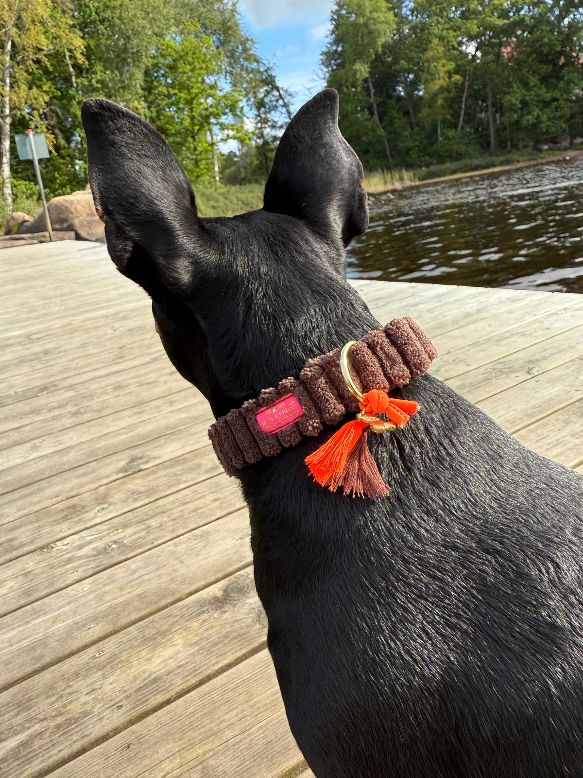 Halsband "Couchy“ Brown