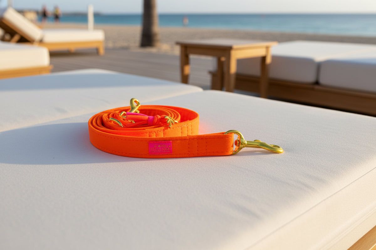 Leine "Neonique“ Orange