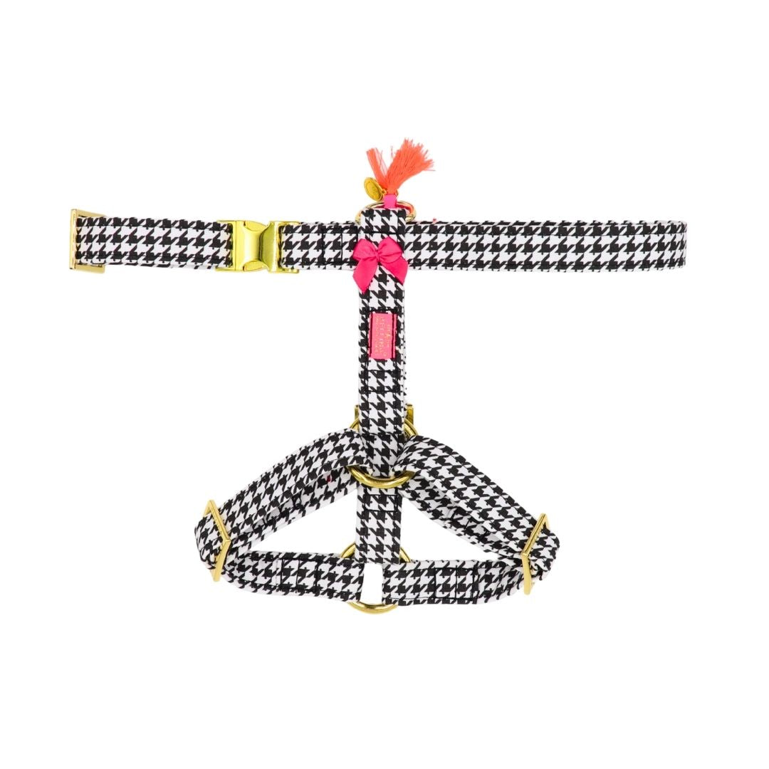 Hundegeschirr "Classic"