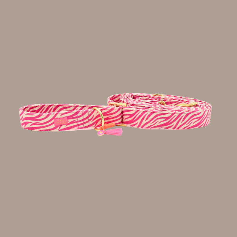 Leine „Stripe Society“ Pink
