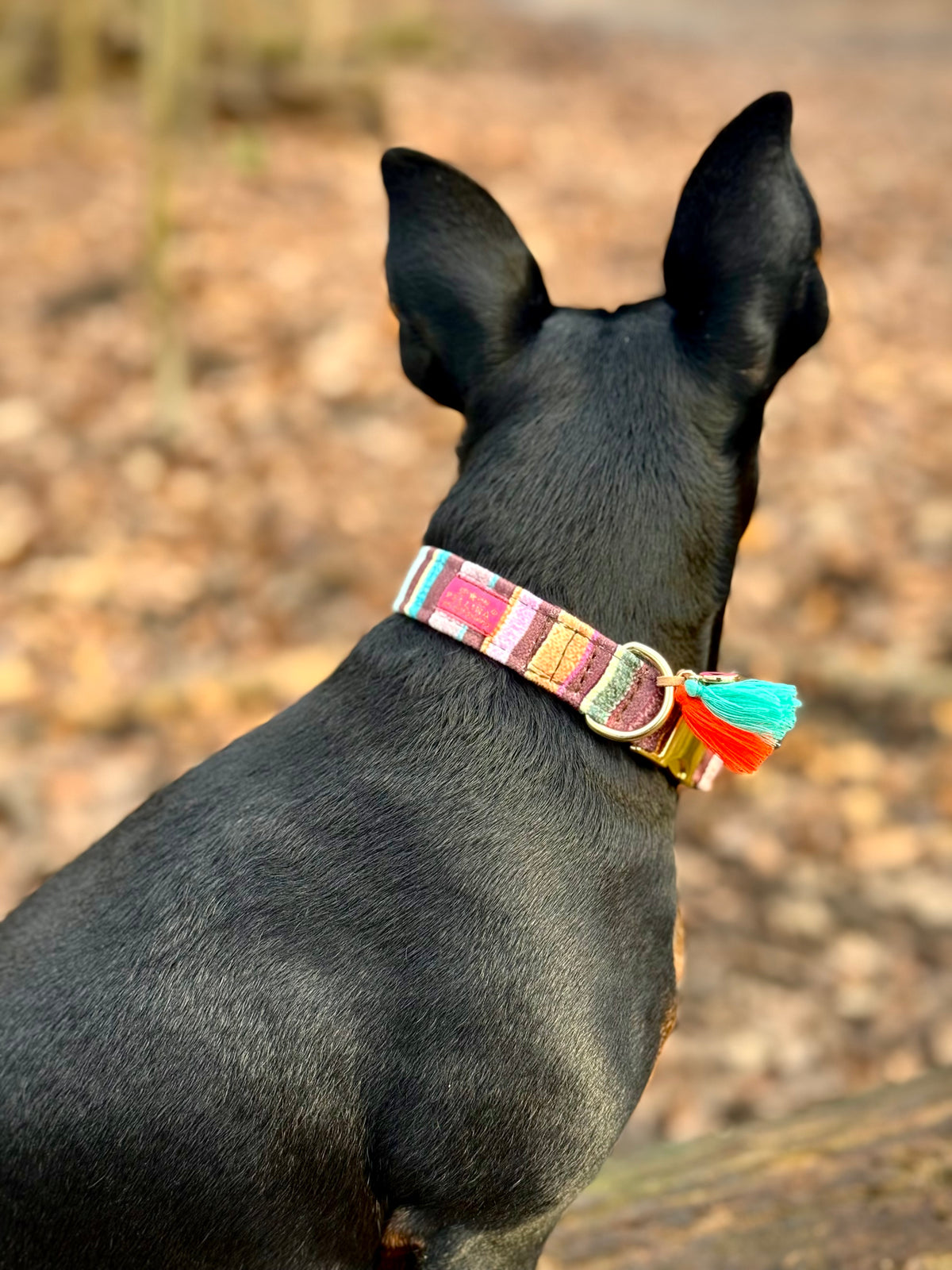 Halsband "Rainbow Cocoa“