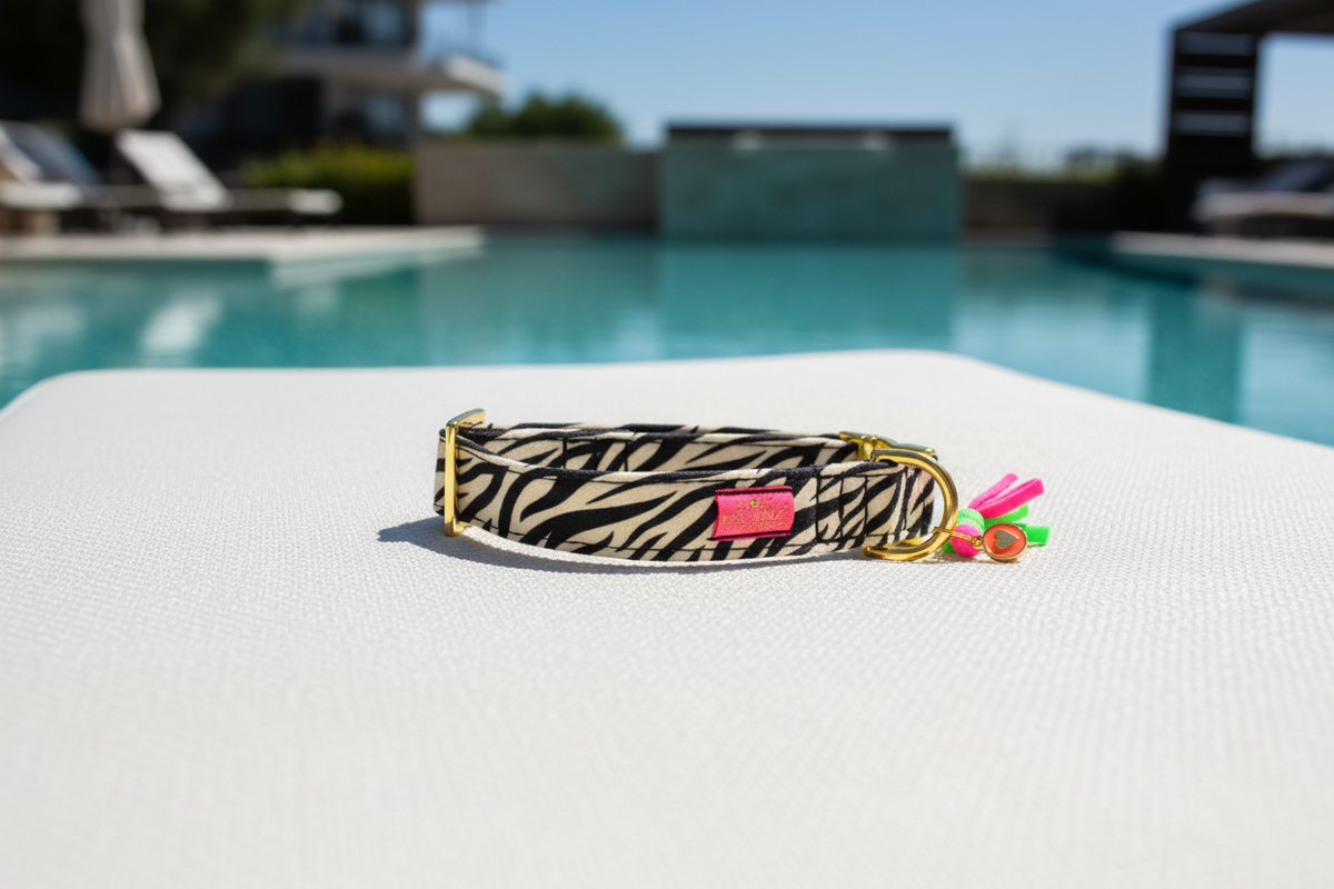 Halsband "Stripe Society"