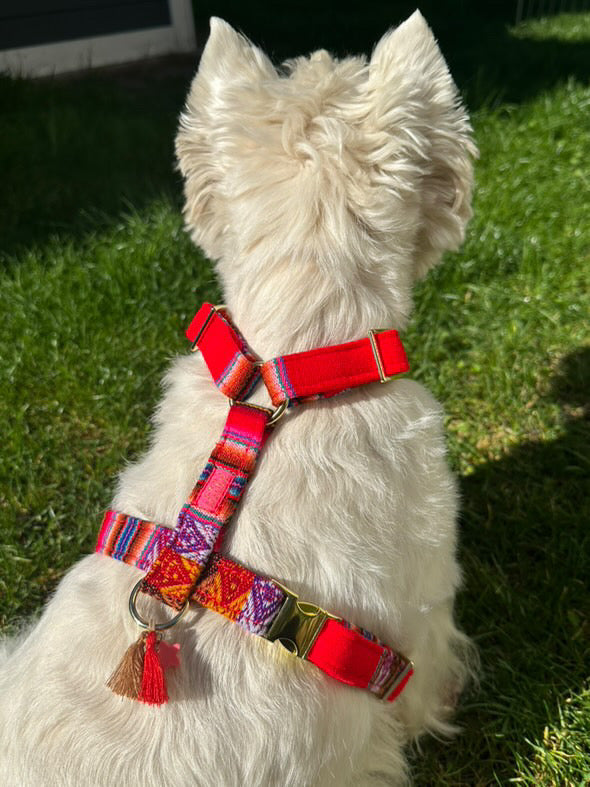 Hundegeschirr "LaaBoheme" Red