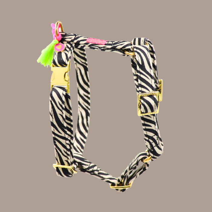 Hundegeschirr "Stripe Society"