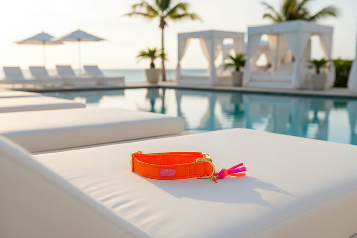 Halsband "Neonique" Orange