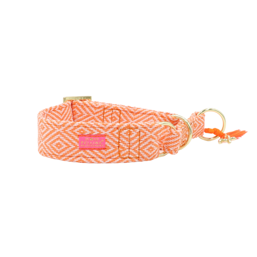 Zugstopp Halsband "Relax" Orange