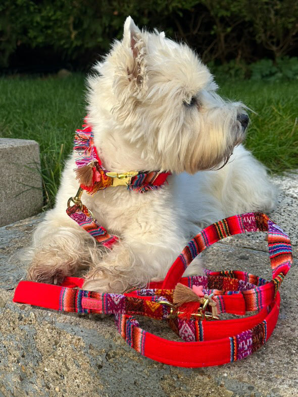 Leine "LaaBoheme" Red