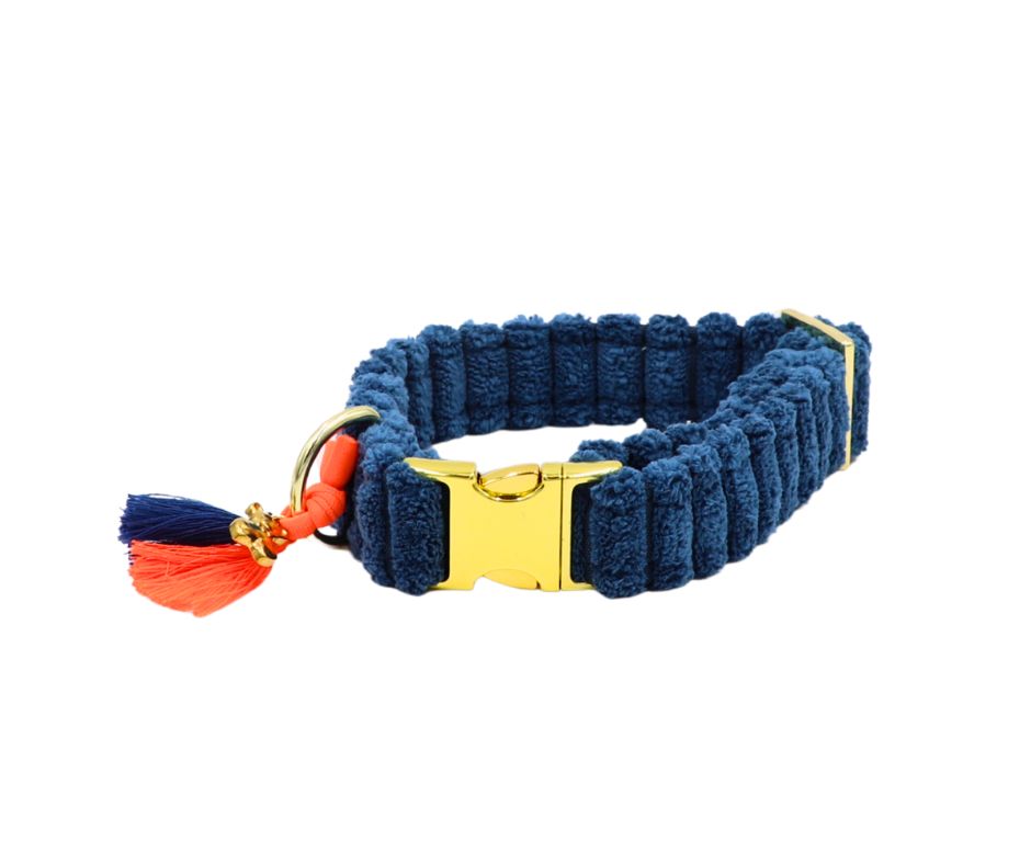 Halsband "Couchy“ Blue
