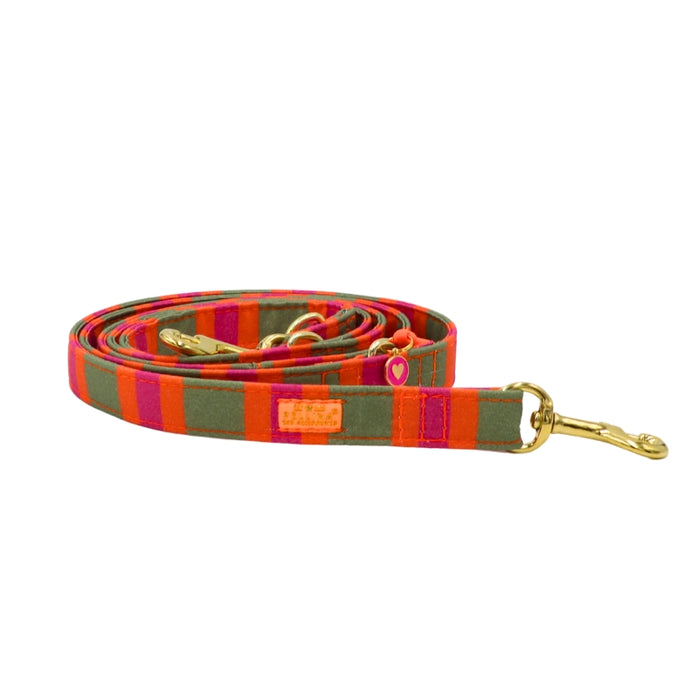 Leine „SummerBreeze“ Orange