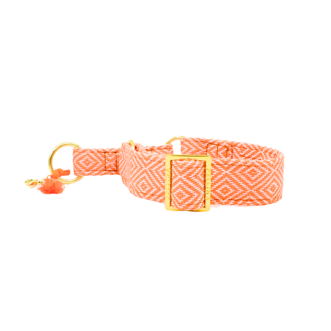 Zugstopp Halsband "Relax" Orange