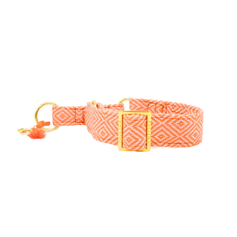 Zugstopp Halsband "Relax" Orange