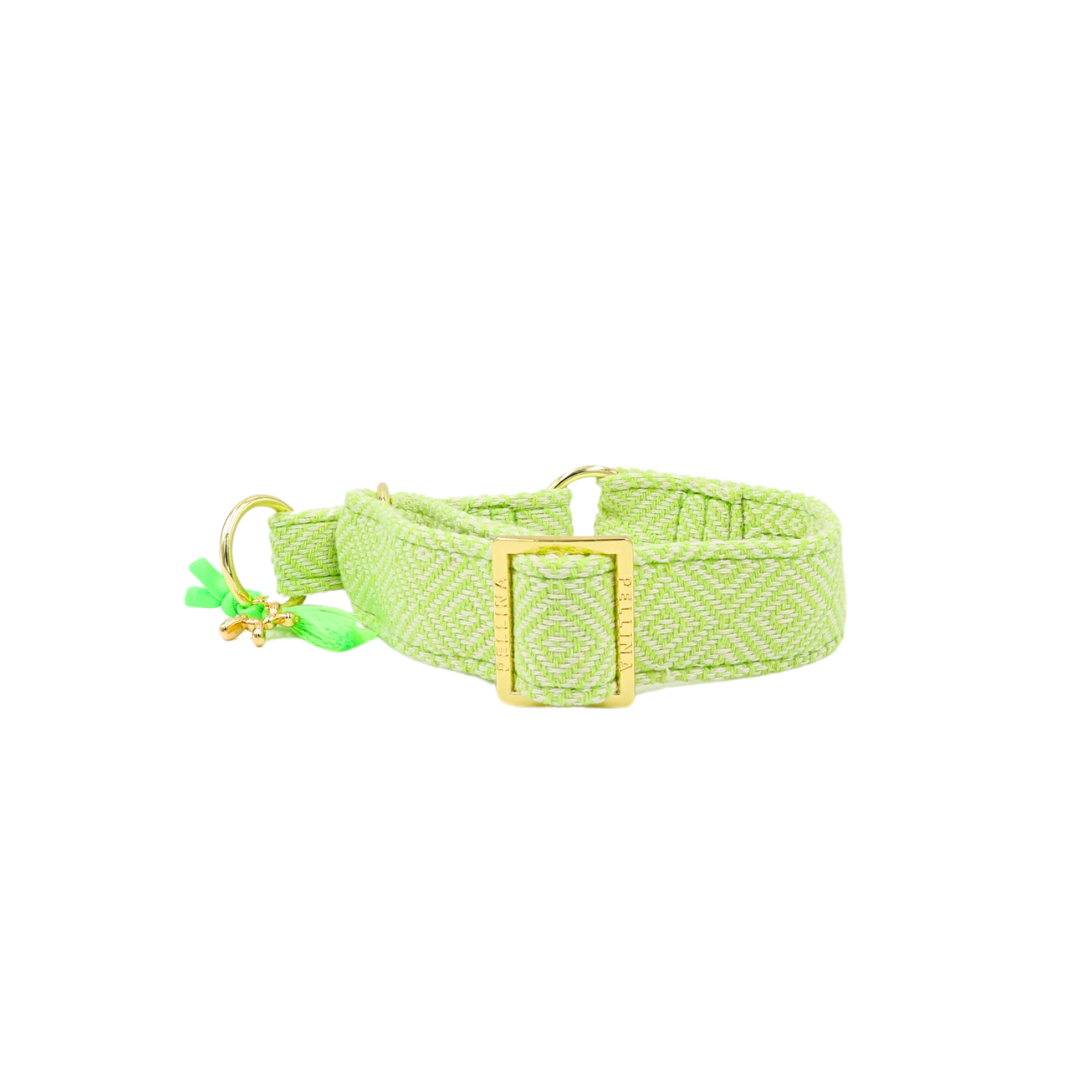 Zugstopp Halsband "Relax" Pistazie