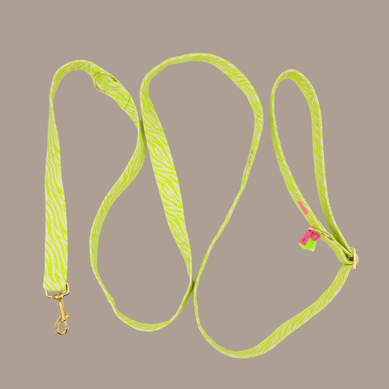 Leine „Stripe Society“ Lime