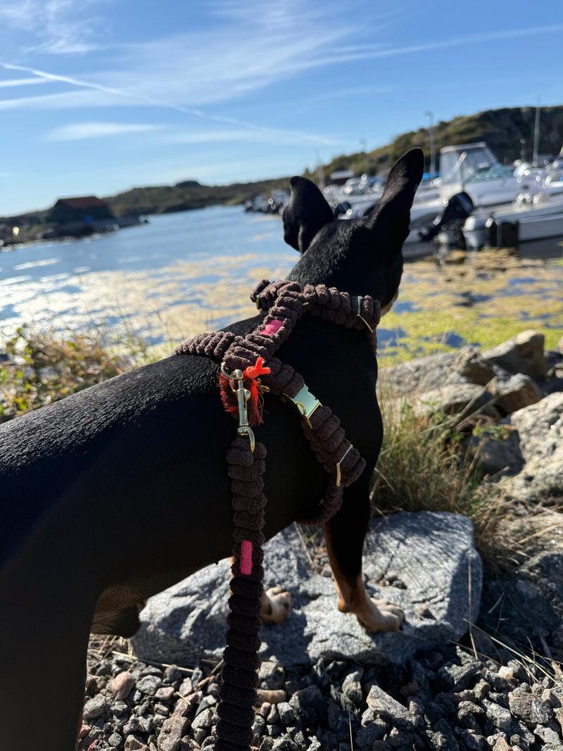 Leine "Couchy“ Brown