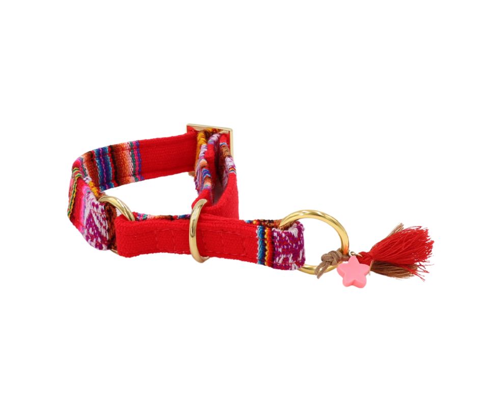 Zugstopp Halsband "LaaBoheme“ Red