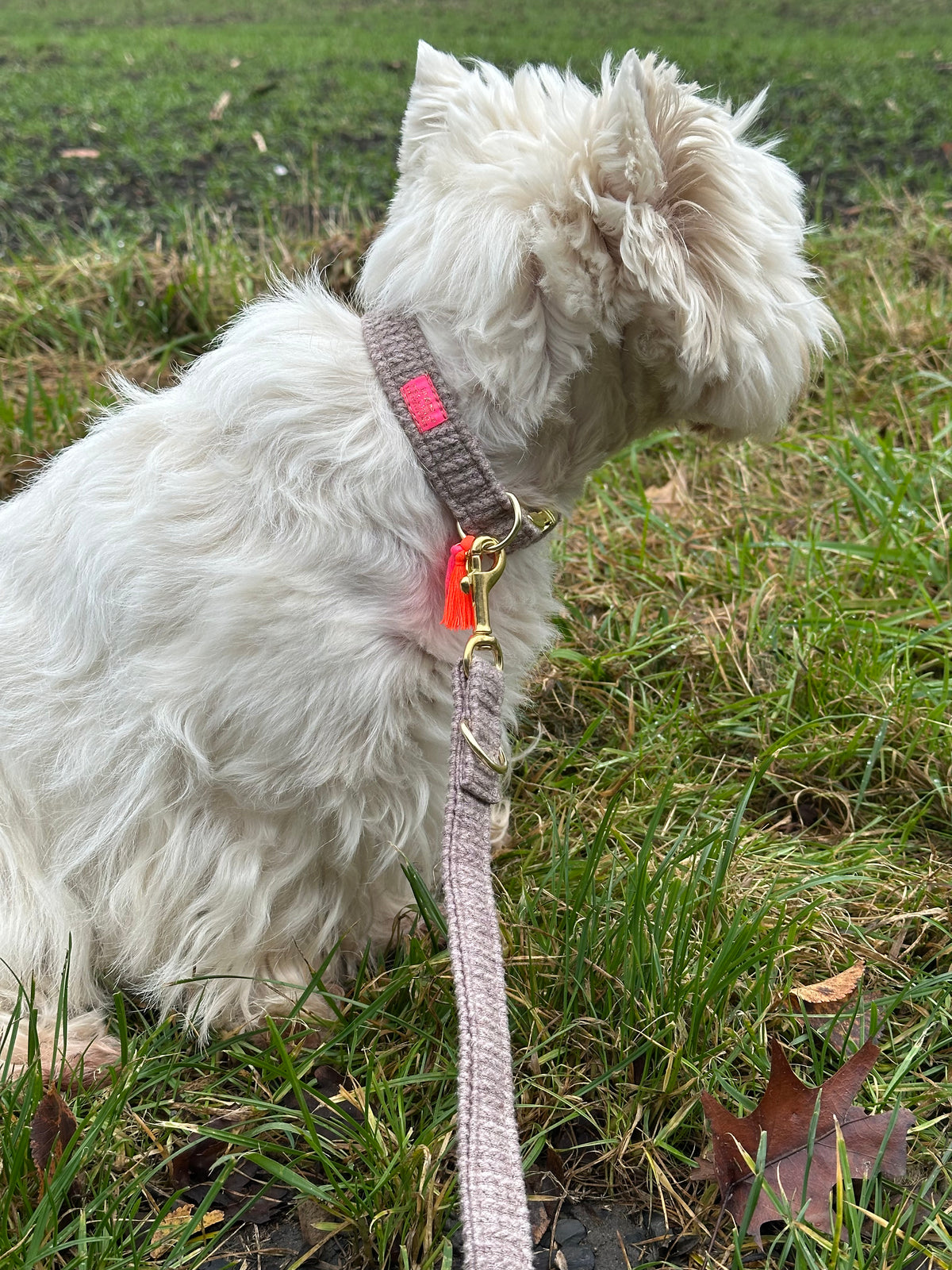 Halsband "Flair“ Brown