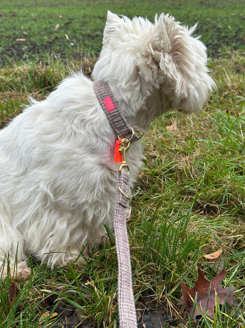 Halsband "Flair“ Brown