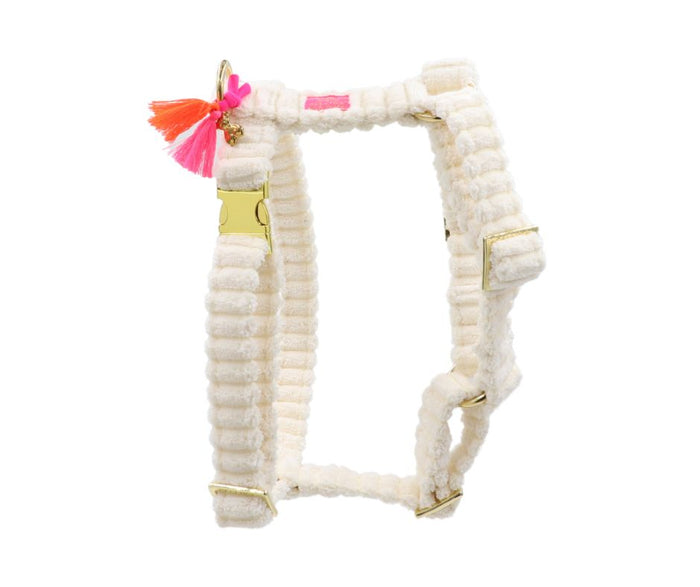 Hundegeschirr "Couchy" White