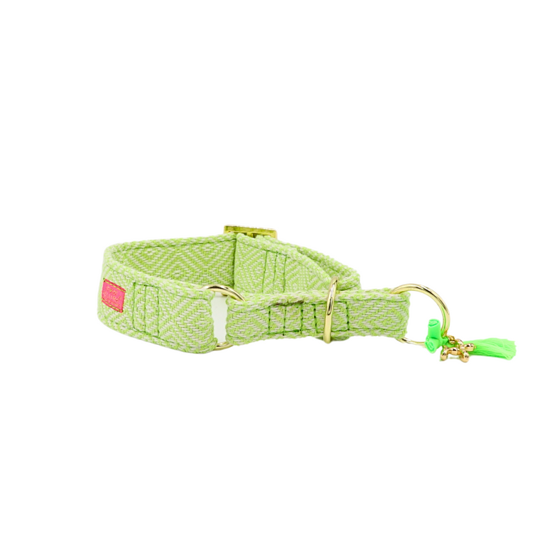 Zugstopp Halsband "Relax" Pistazie