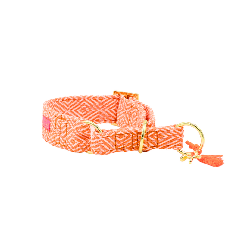 Zugstopp Halsband "Relax" Orange