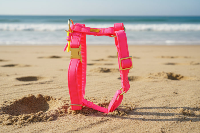 Hundegeschirr "Neonique" Pink