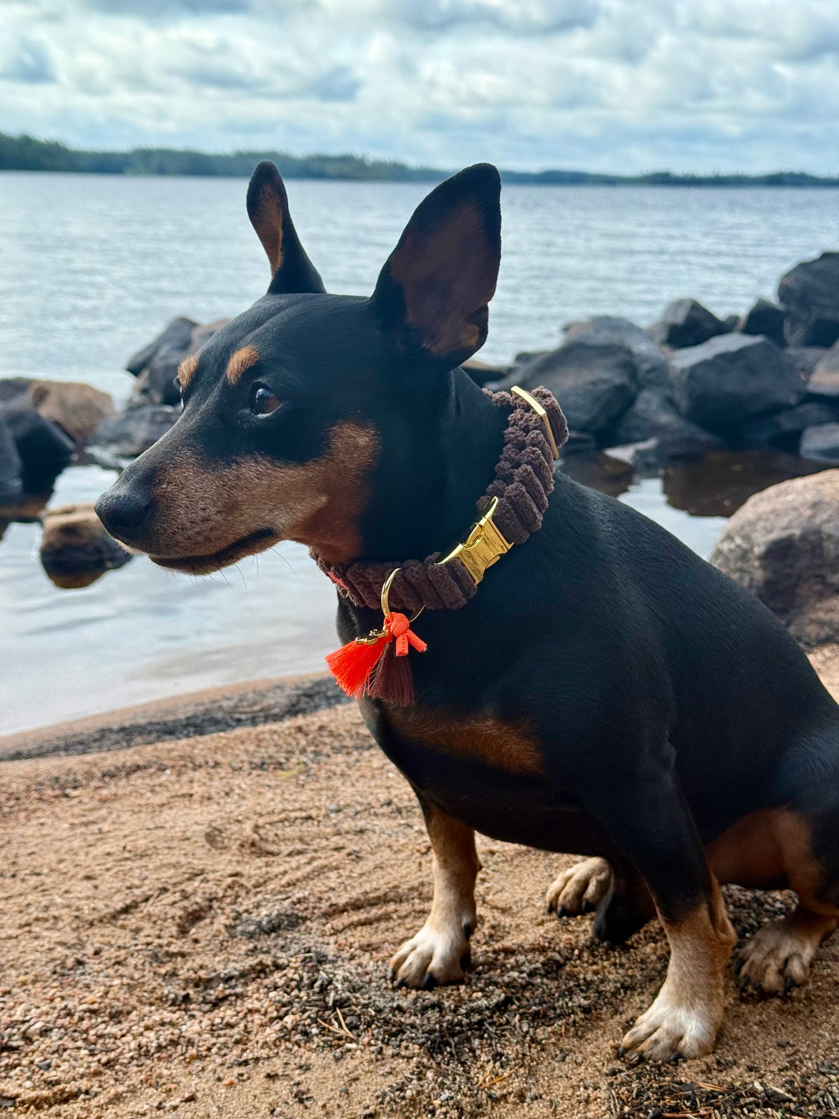 Halsband "Couchy“ Brown